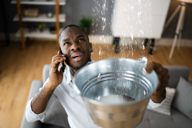 Best Basement water damage restoration  in Southwest Sandhill, TX