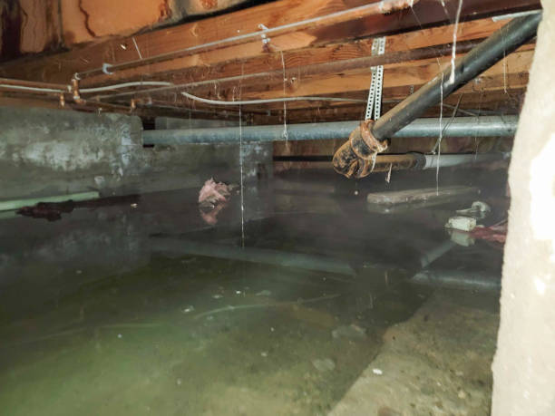 Best Sewage cleanup and water damage restoration  in Southwest Sandhill, TX
