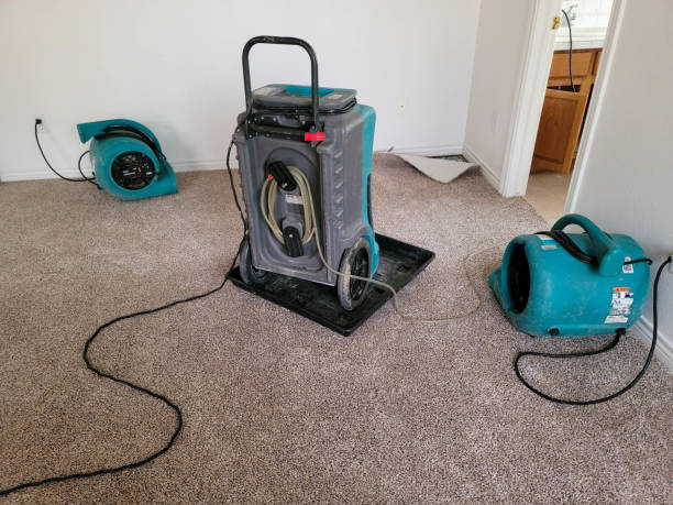 Best Residential water damage restoration  in Southwest Sandhill, TX