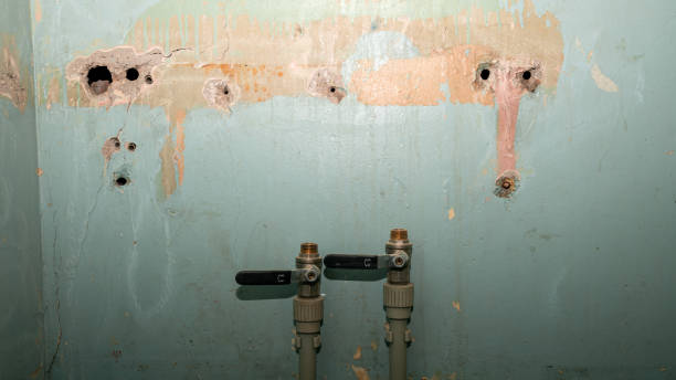 Water damage restoration mold remediation in Southwest Sandhill, TX