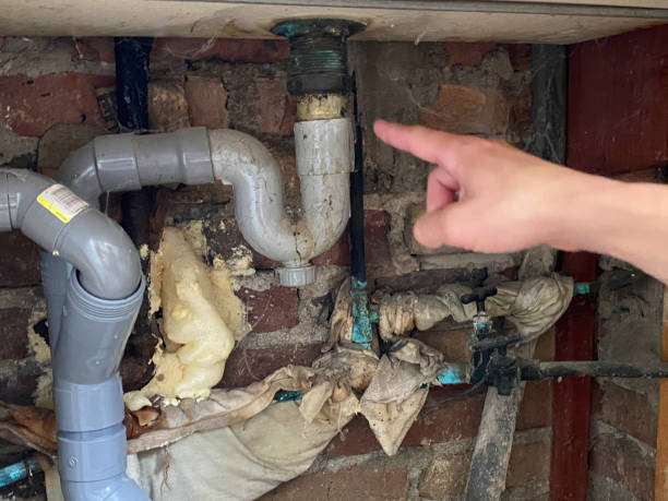 Best Water damage restoration experts  in Southwest Sandhill, TX